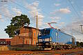 PIKO Art.-Nr. 51176: Diesel-/E-Lok BR 248